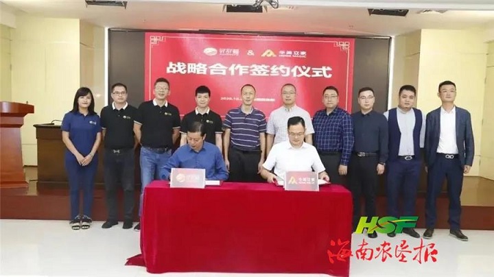 ����yl23455����