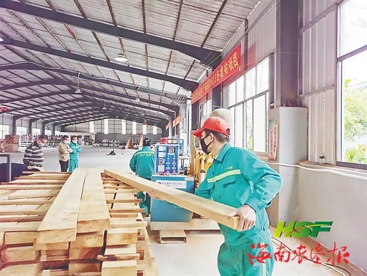 ����yl23455����