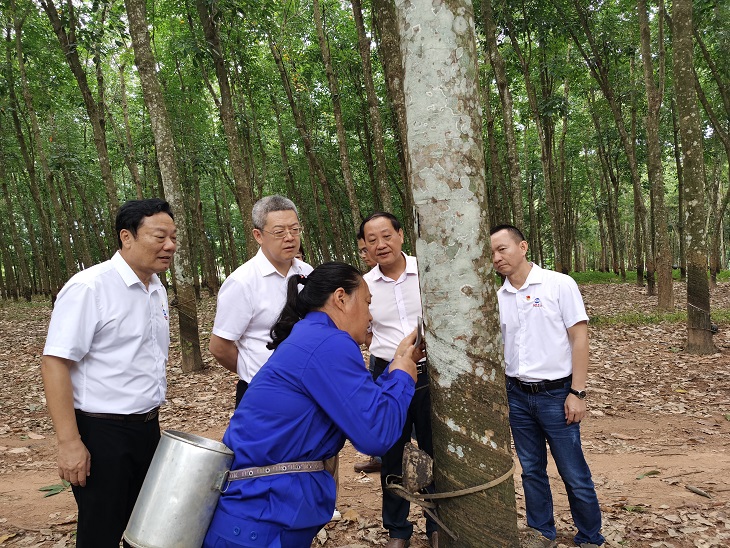 ����yl23455����