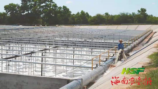 ����yl23455����