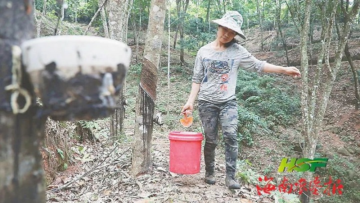 ����yl23455����