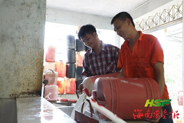 ����yl23455����