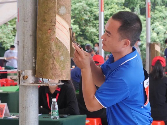 ����yl23455����