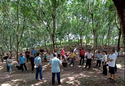 ����yl23455����