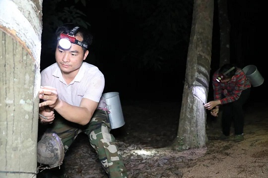 ����yl23455����