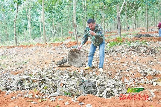 ����yl23455����