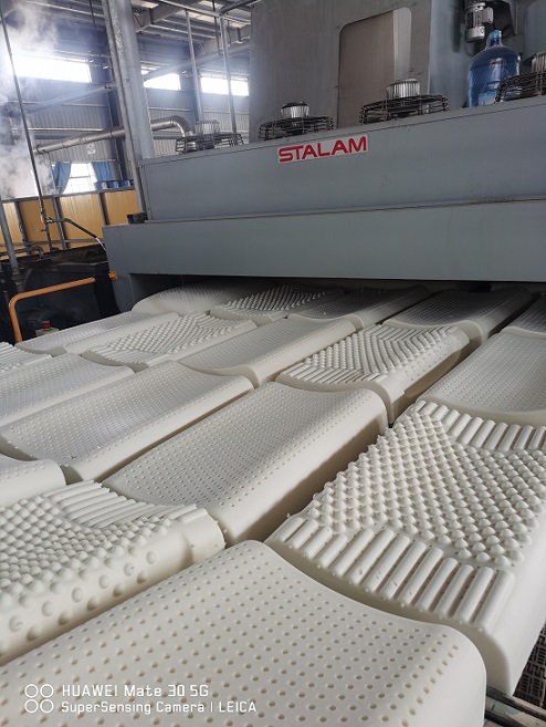 ����yl23455����