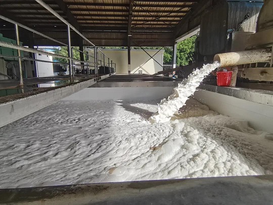 ����yl23455����