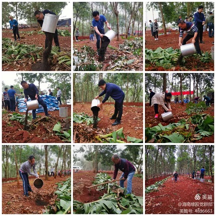 ����yl23455����