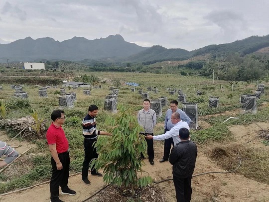 ����yl23455����