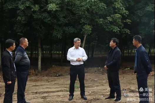 ����yl23455����