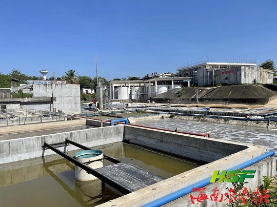 ����yl23455����