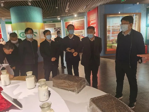 ����yl23455����