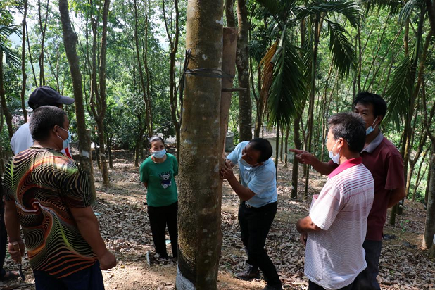 ����yl23455����