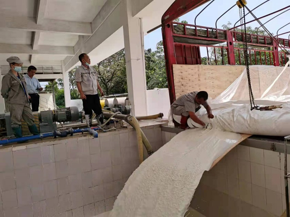 ����yl23455����