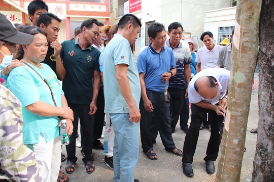 ����yl23455����