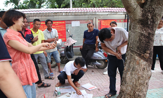 ����yl23455����