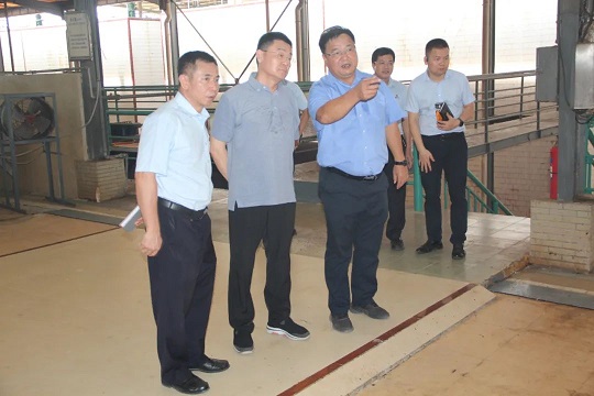 ����yl23455����