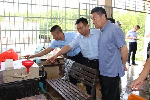 ����yl23455����