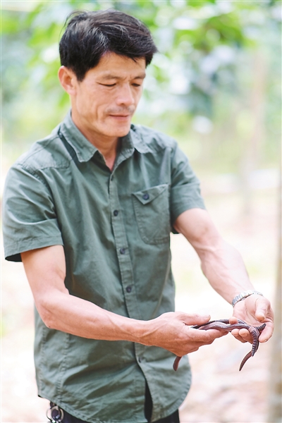 ����yl23455����