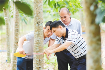 ����yl23455����