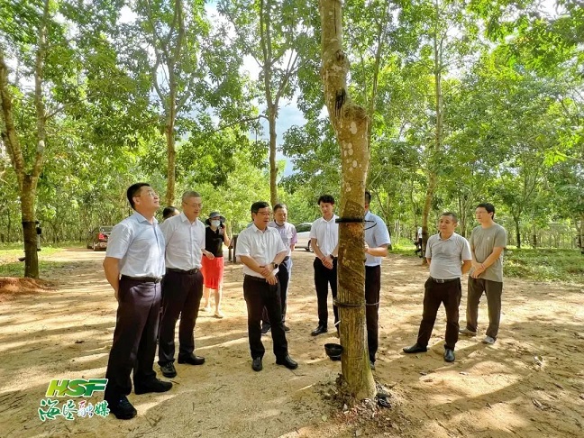 ����yl23455����