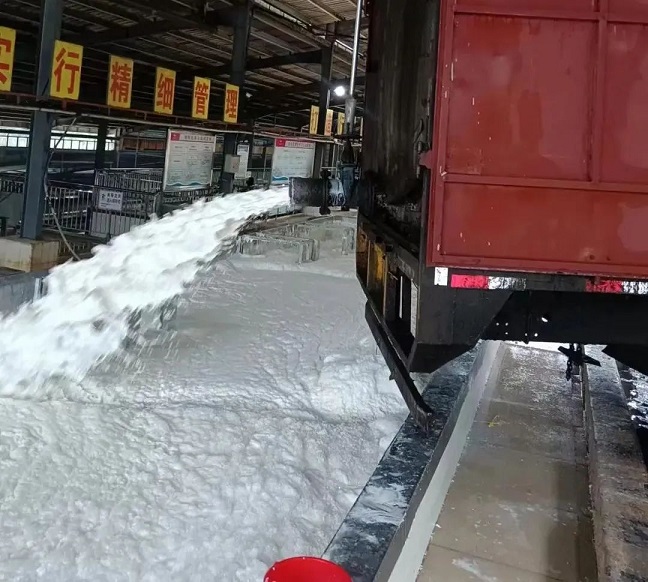 ����yl23455����