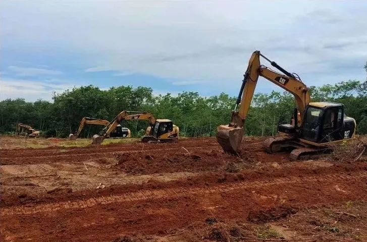 ����yl23455����