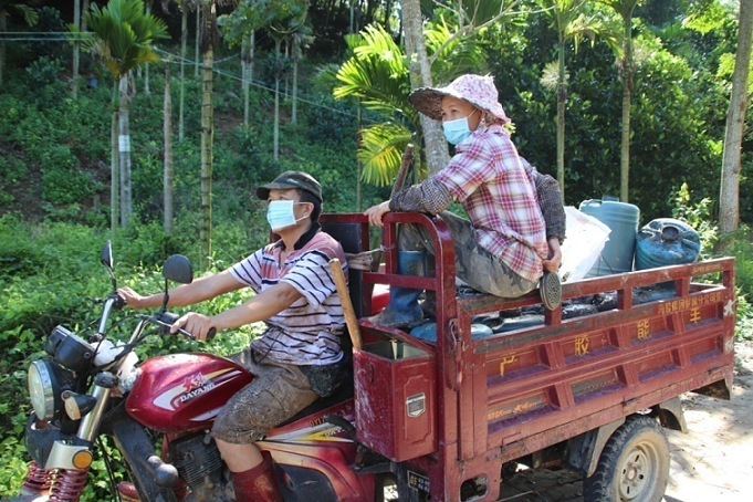 ����yl23455����