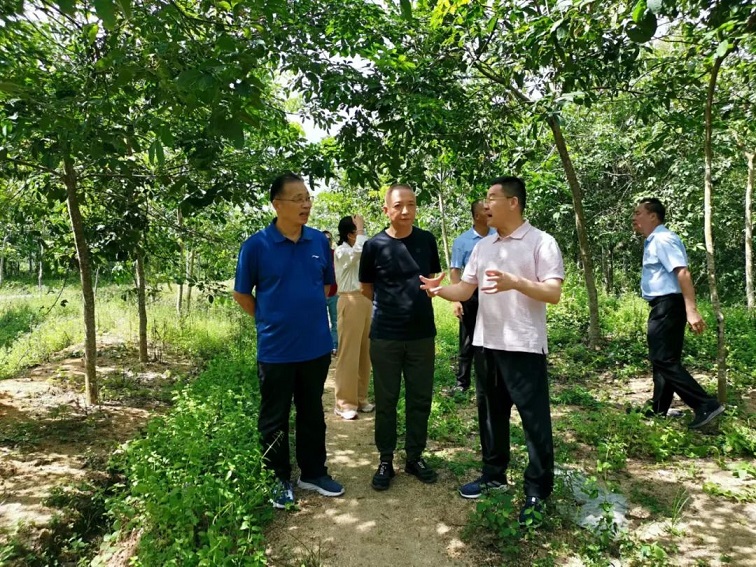 ����yl23455����