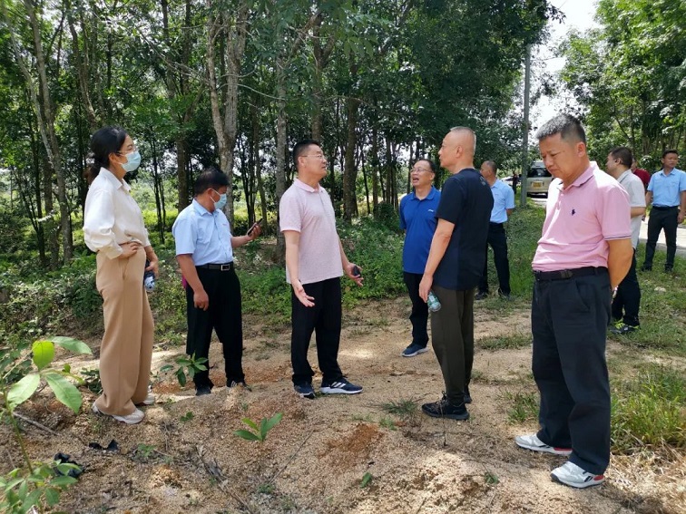 ����yl23455����