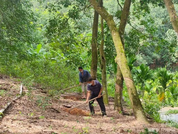 ����yl23455����