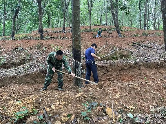 ����yl23455����