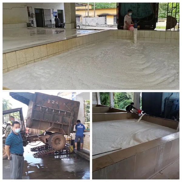 ����yl23455����