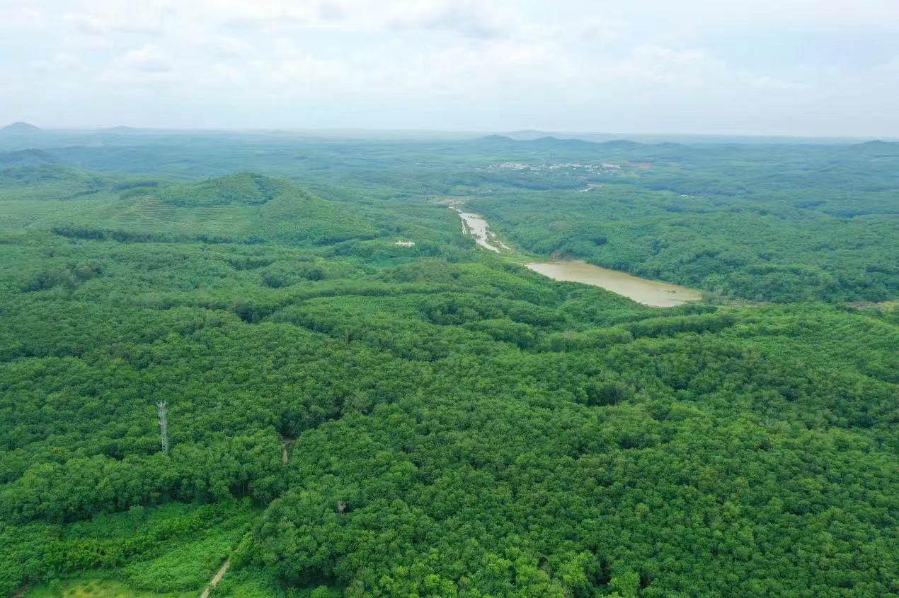 ����yl23455����