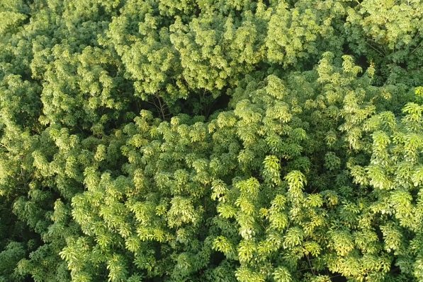 ����yl23455����