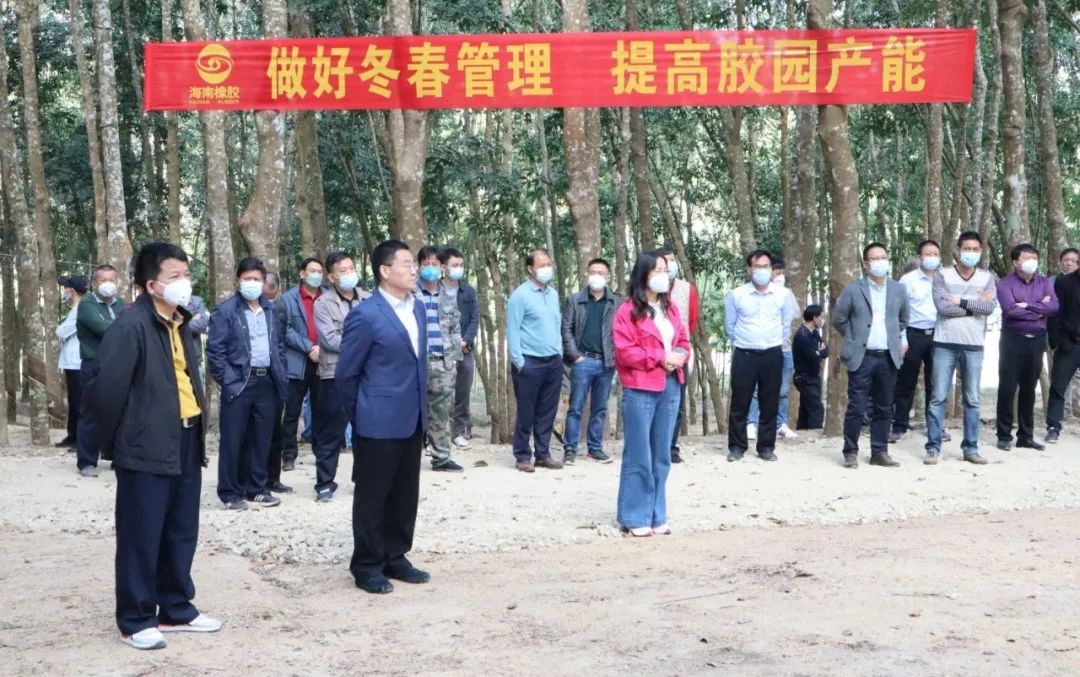 ����yl23455����