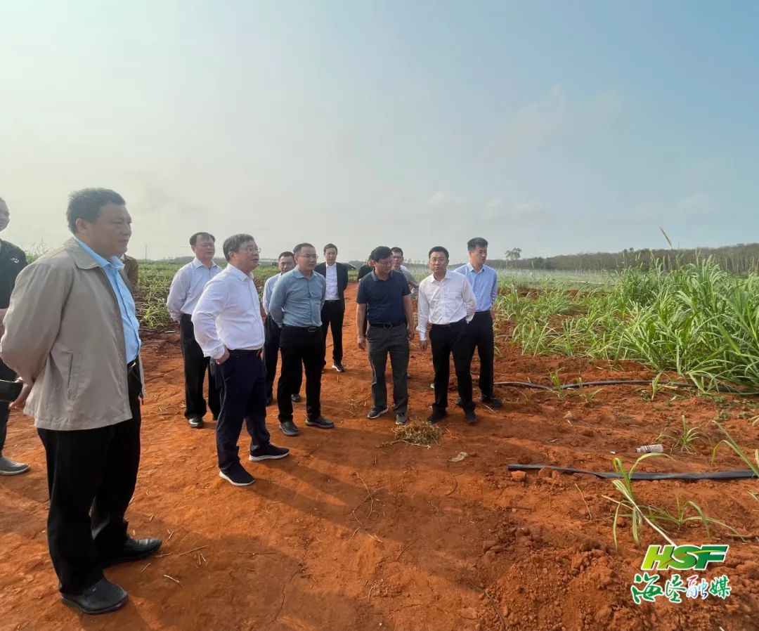 ����yl23455����