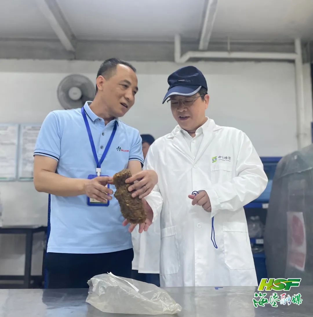 ����yl23455����