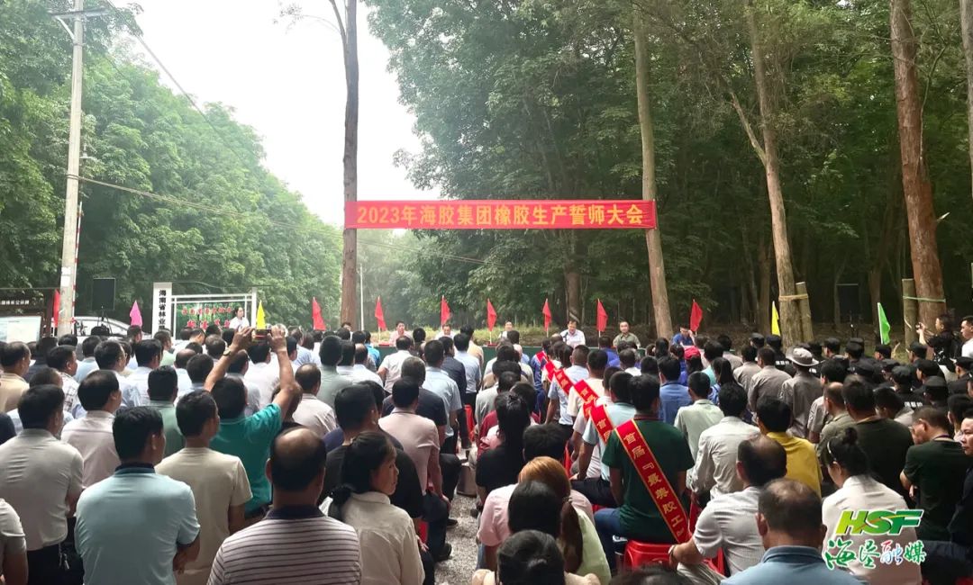 ����yl23455����