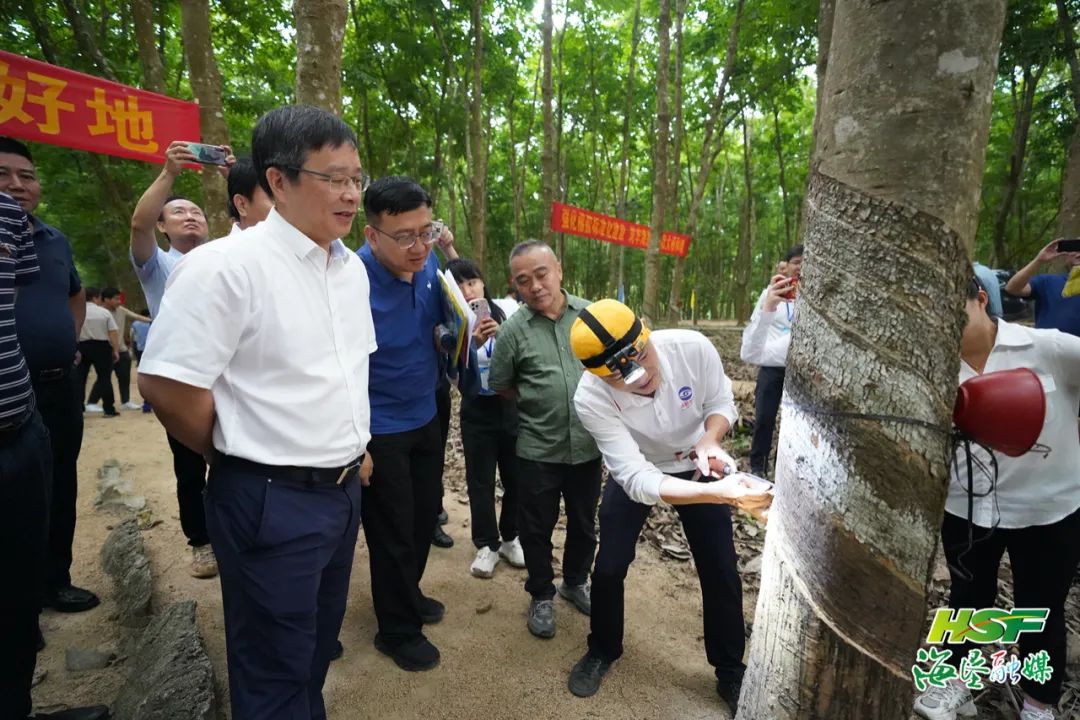 ����yl23455����