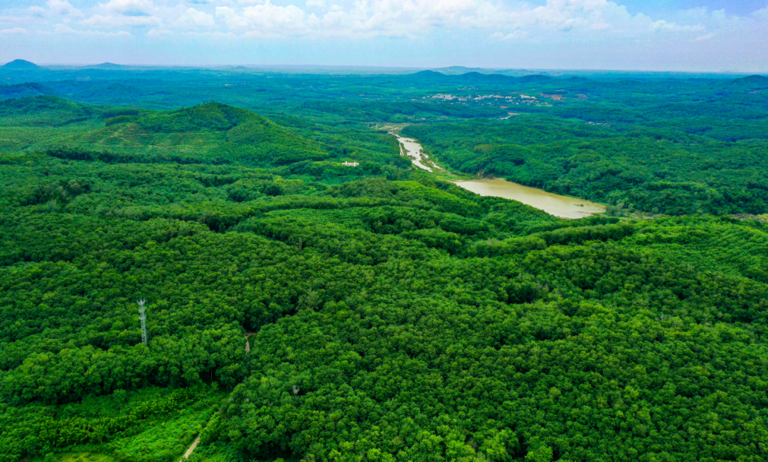 ����yl23455����