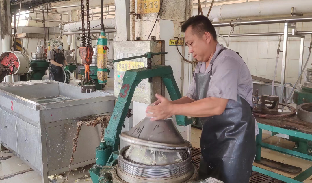 ����yl23455����