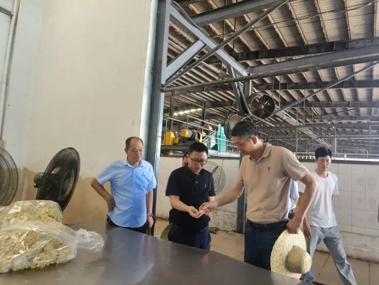 ����yl23455����