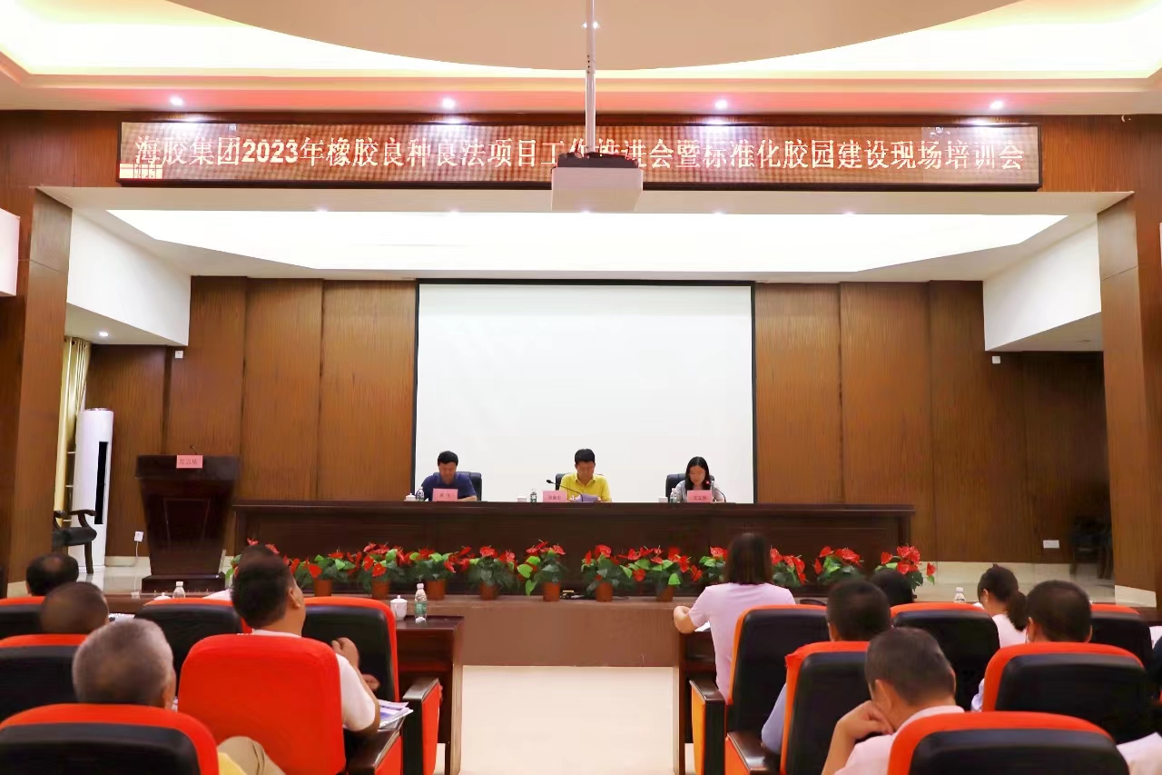 ����yl23455����