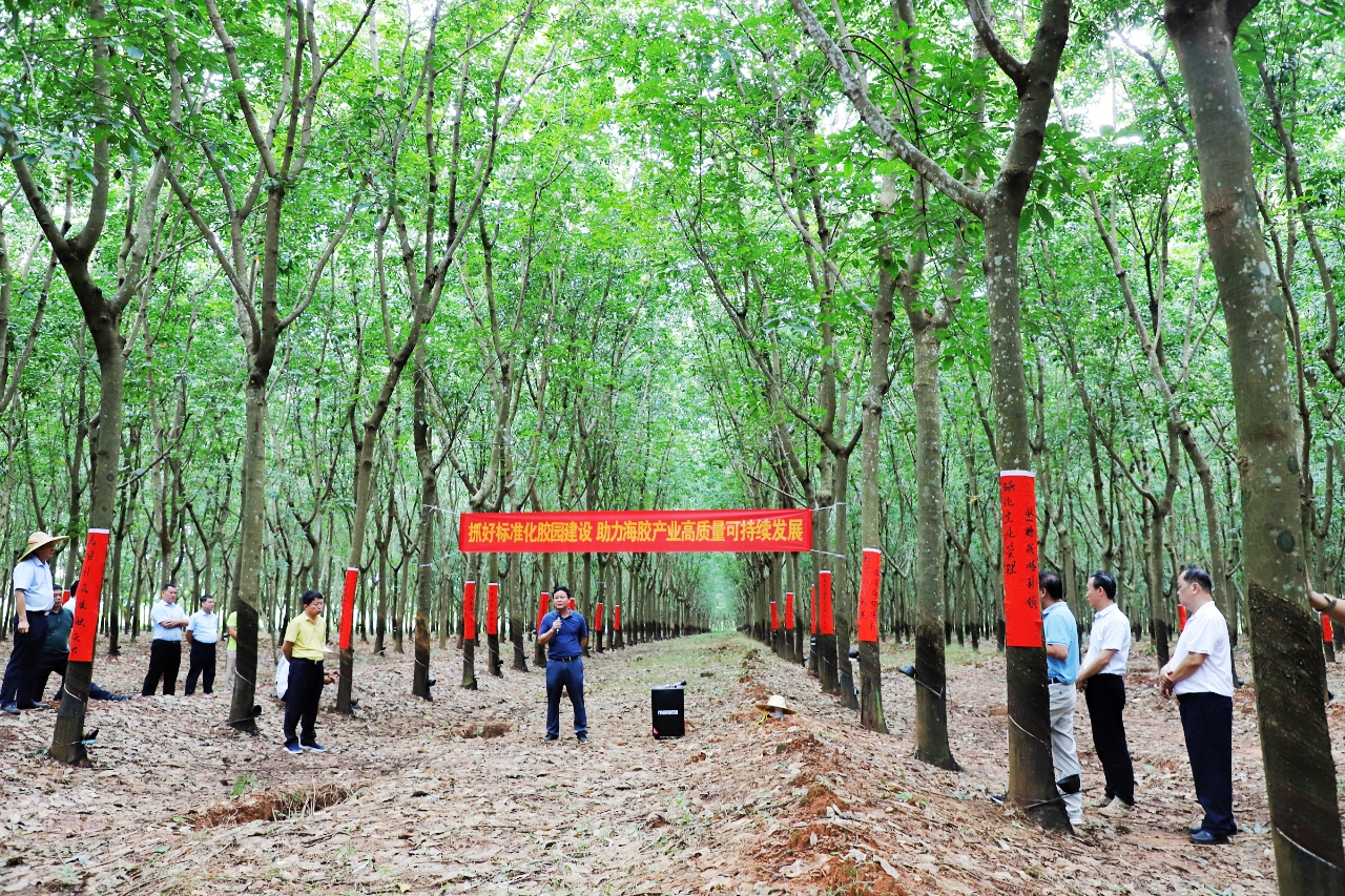 ����yl23455����