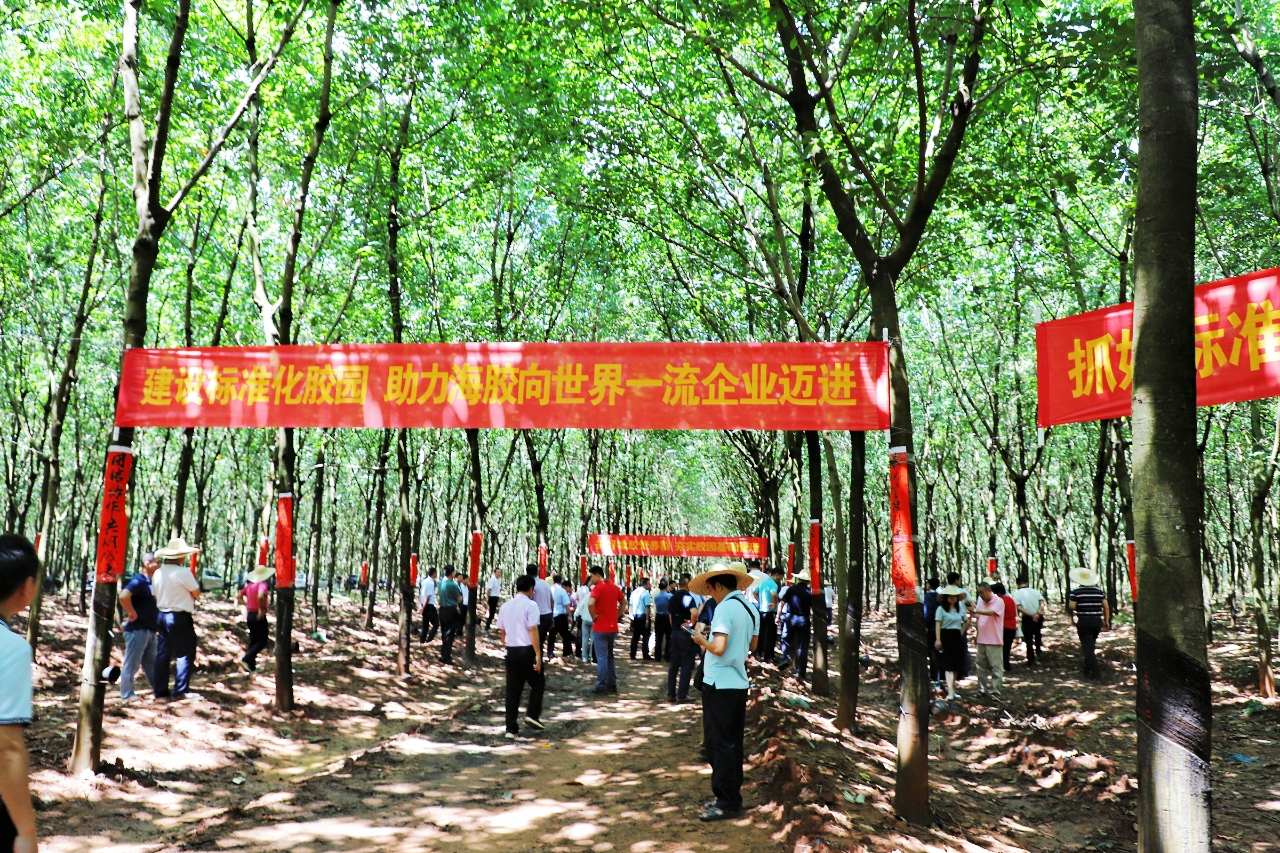 ����yl23455����