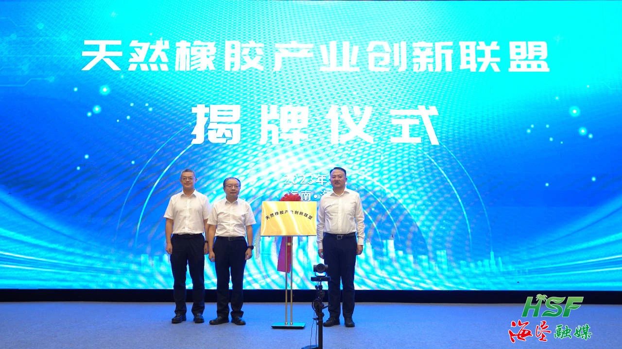 ����yl23455����