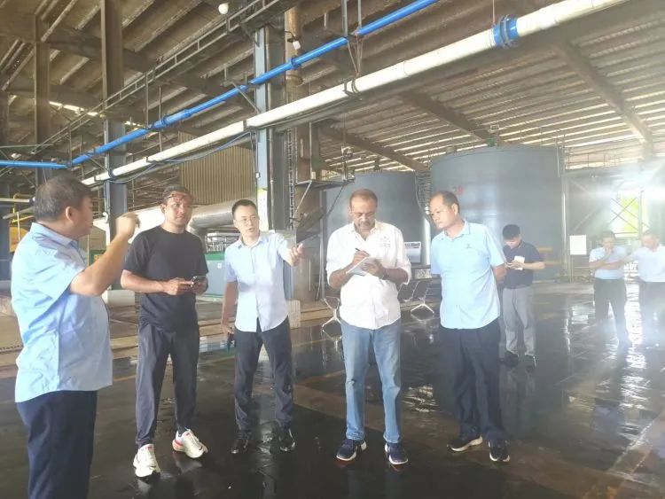 ����yl23455����