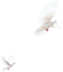 home_bg_5.4d94e7f